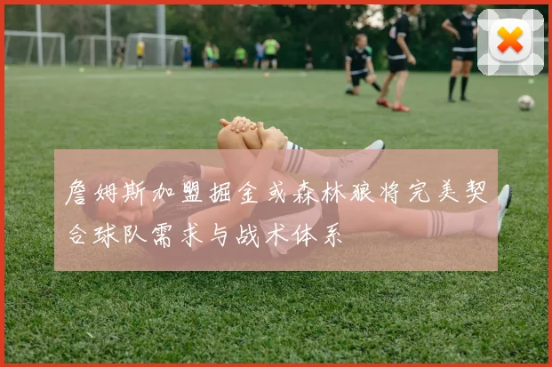 詹姆斯加盟掘金或森林狼将完美契合球队需求与战术体系