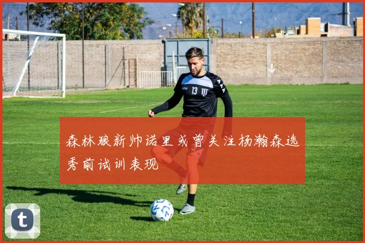 森林狼新帅诺里或曾关注杨瀚森选秀前试训表现